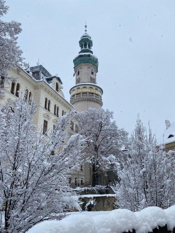El Gusto Homes Town Sopron Eksteriør bilde
